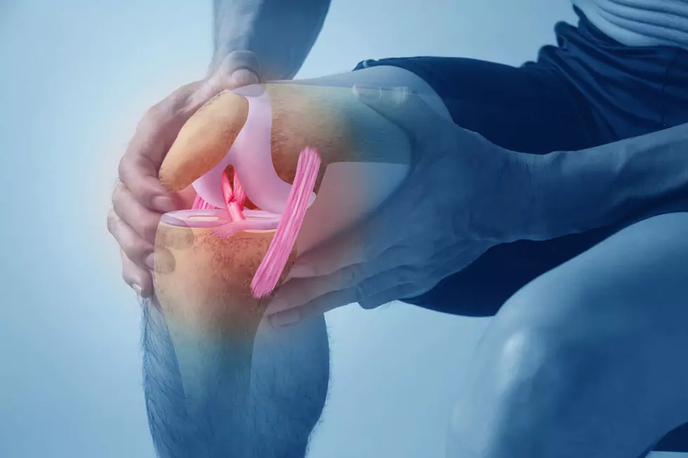Fotoillustration eines Mannes der sein schmerzendes Knie hält. Das verletzte Kreuzband ist farblich hervorgehoben